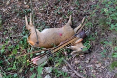 Eric de Lavenne roe buck 2018