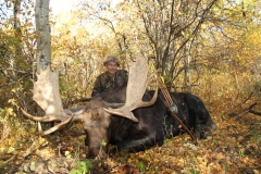 Howardhardermoose