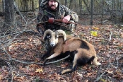 Jarrad Mear success ram 2013