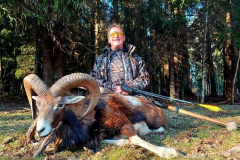Phil-McGlone-2022-Mouflon-sheep