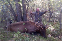 Ron Mcdee elk 2012