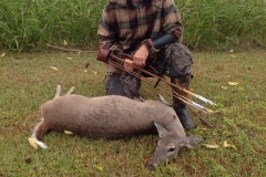 Tim-S-Deer