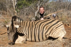 brian b zebra