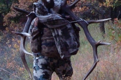 elk 2011