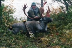 kentaylorcaribou