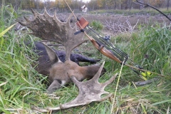 kevin hiebert moose 2012