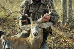 steve-slomsky-deer-2013